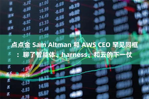 点点金 Sam Altman 和 AWS CEO 罕见同框：聊了智能体、harness、和云的下一仗